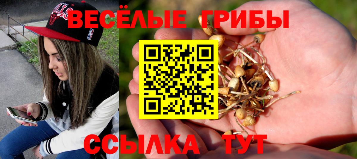 хочу   Вход с VPN  Псилоцибиновые грибы Psilocybe  Полысаево  Псилоцибиновые грибы ЛСД 
